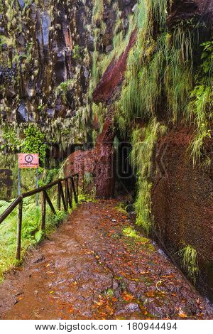 Risco levada in Madeira Portugal - travel background