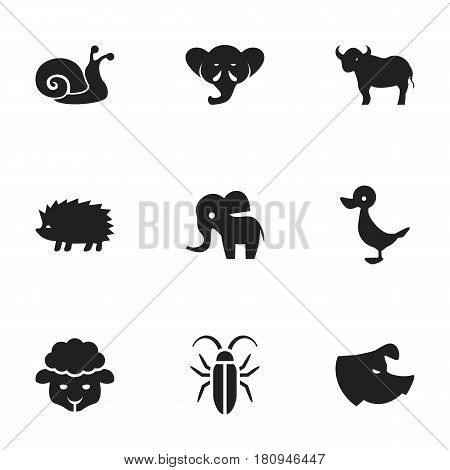 Set Of 9 Editable Zoo Icons. Includes Symbols Such As Elephant, Quack, Porcupine And More. Can Be Used For Web, Mobile, UI And Infographic Design.