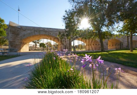 Serrano bridge in Valencia in Turia park at Spain spring flowers foreground