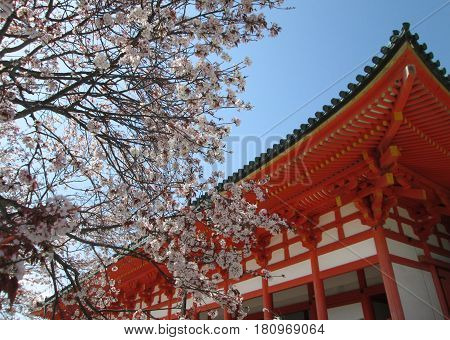 cherry blossom and Japanese traditional building. Kyoto,Japan