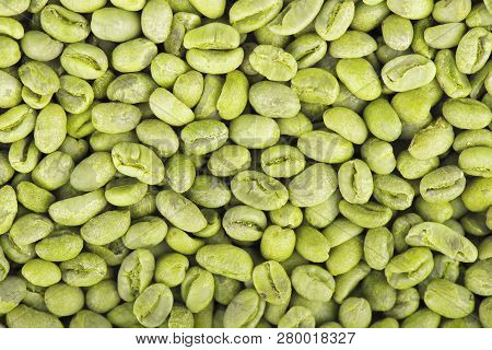 Green Coffee Beans Background. Medium Green Peaberry Coffee Beans.