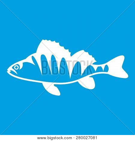 European Perch, Perca Fluviatilis Icon White Isolated On Blue Background Illustration