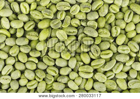 Green Coffee Beans Background. Medium Green Peaberry Coffee Beans.