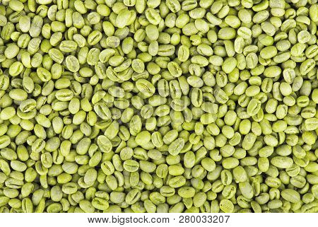Green Coffee Beans Background. Medium Green Peaberry Coffee Beans.