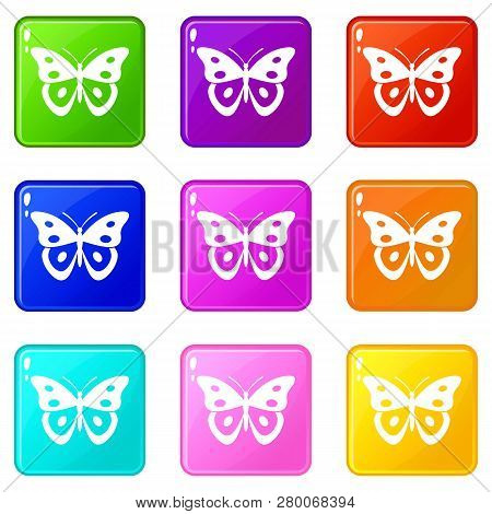 Butterfly Pierid Icons Of 9 Color Set Isolated Illustration