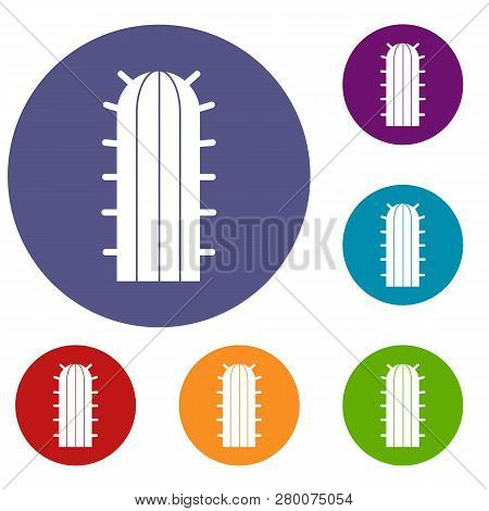 Cereus Candicans Cactus Icons Set In Flat Circle Red, Blue And Green Color For Web