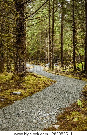 Path Outside Juneau, Alaska, Enroute To Menhenhall Glacier