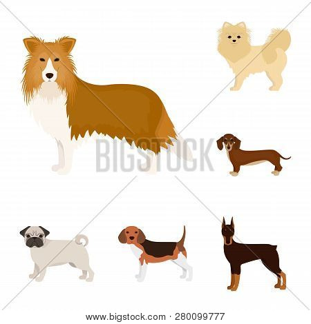 Vector Illustration Of  Cute  And  Logo. Collection Of  Cute  And  Stock Vector Illustration.
