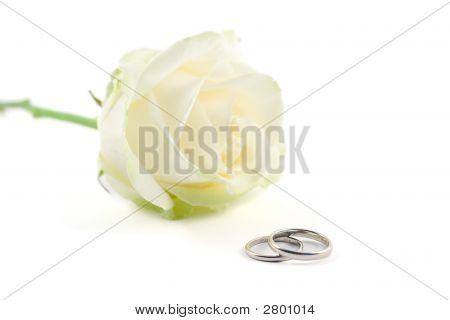 Anneaux de mariage et une Rose