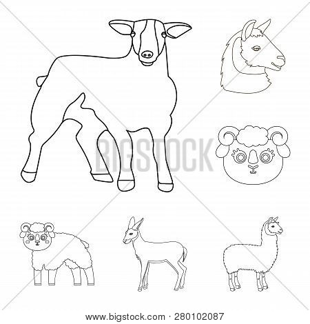 Vector Illustration Of Sheep And Goat Icon. Set Of Sheep And Happy  Vector Icon For Stock.