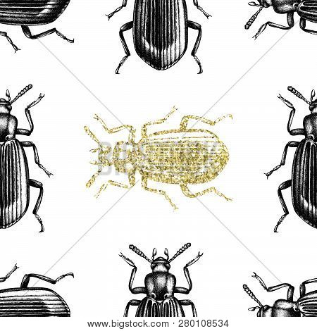 Gold Darkling Beetle Background. Seamless Pattern With Hand Drawn Bugs. Vector Insects Illustrations