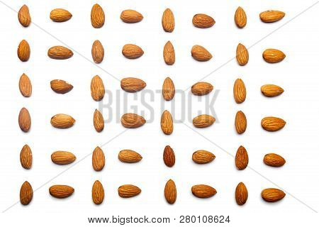 A Collection Of Apricot Stone Lie In Horizontal Rows On An Isolated White Background. With Clipping 