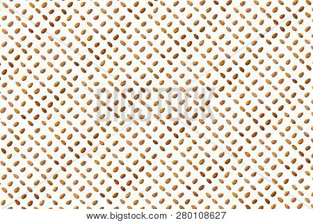 A Collection Of Apricot Stone   Lie In Straight Rows Along Dioganals On An Isolated White Background