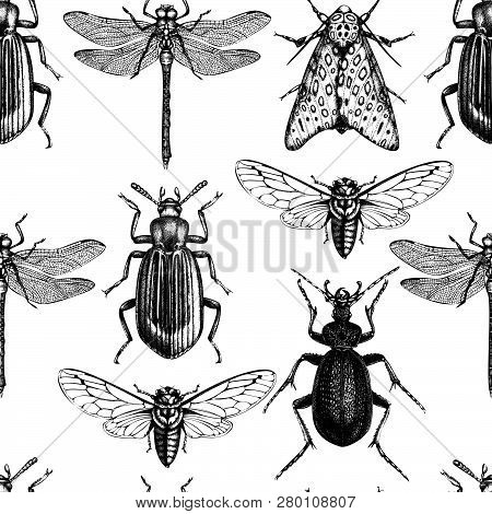 Insects_pattern_2