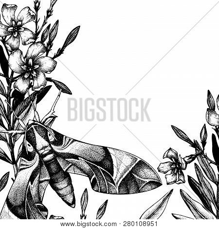 Oleander Flower Card.ai