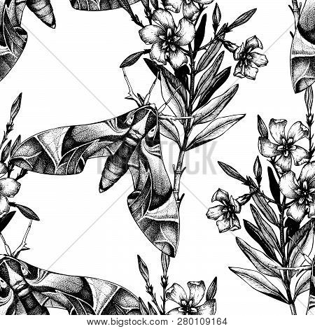 Oleander Pattern 4