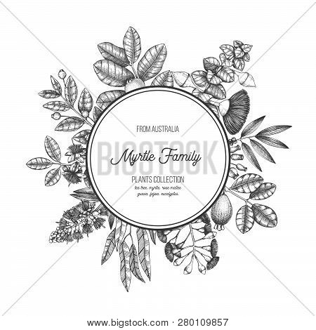 Mirtle Family Plants Card 3 1