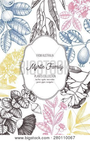 Mirtle Family Plants Card 4