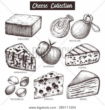 Vector Collection Of Cheese Sketches. Hand Drawn Food Illustrations On White Background. Vintage Ing
