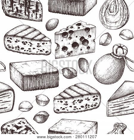 Vector Background With Cheese Sketches. Hand Drawn Food Illustrations On White Background. Vintage S