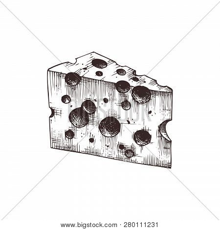 Vector Emmental Sketches. Hand Drawn  Medium Hard Swiss Cheese Illustration. Vintage Traditional Foo