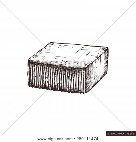Vector Stracchino Sketches. Hand Drawn Italian Cows Milk Cheese Illustration. Vintage Traditional Fo