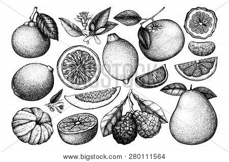 Black Citrus.ai
