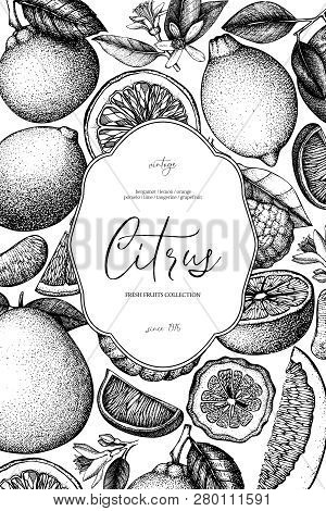 Citrus Card 1