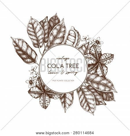 Cola_tree_design_4