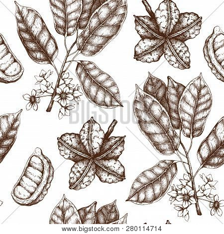 Cola_tree_pattern_2