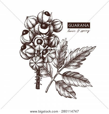 Guarana