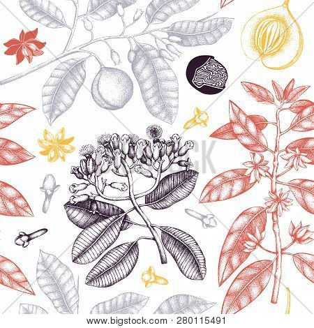 Spice_plants_pattern_3