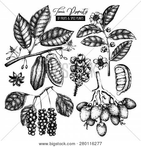 Tonic_set_2_1_1