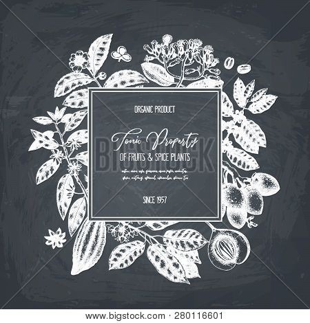 Tonic_plants_4_3