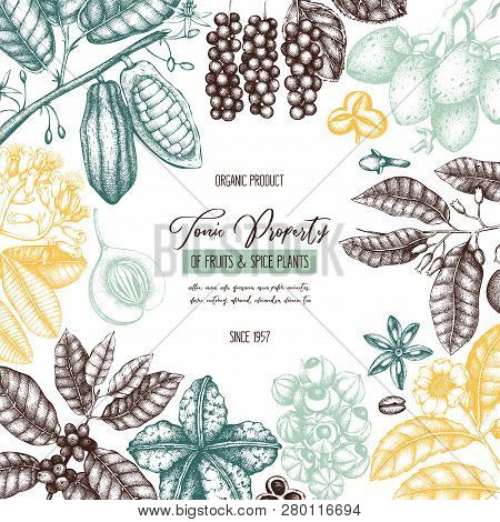 Tonic_plants_card_1