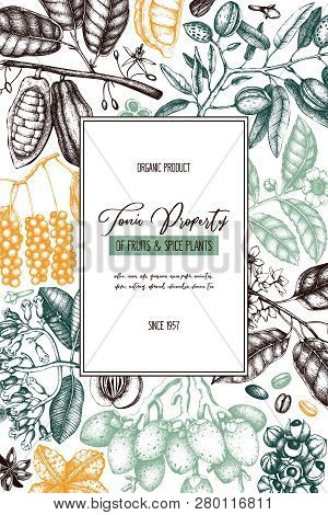 Tonic_plants_card_3