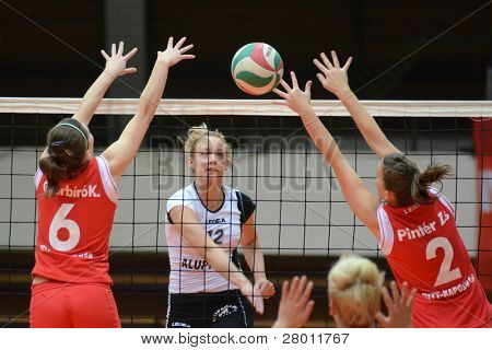 헝가리 챔피언 vo에 행동에 KAPOSVAR, 헝가리-11 월 25 일: Kamilla Gyorbiro (레드 6)
