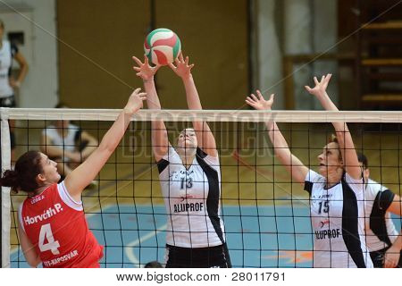 KAPOSVAR, 헝가리-11 월 25 일: 페트라 Horvath (레드 4) 헝가리 선수권 volle에서 행동