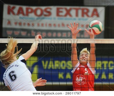 KAPOSVAR, 헝가리-11 월 25 일: Zsofia Horvath (레드 5) 헝가리 선수권 voll에서 행동