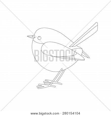 Eastern Bluebird  ,vector Illustration ,lining Draw ,profile View