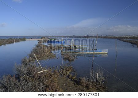 View Of The Pond Santa Gilla In Cagliari