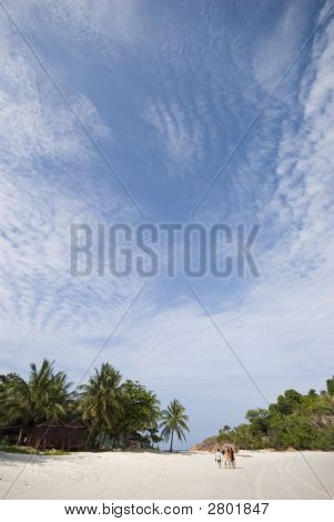 Wyspa & Beach