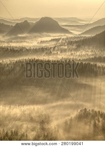Beautiful Sunbeam Through Treetops Of Autumnal Misty Forest