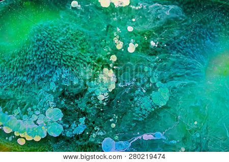 Resin Petri Dish Art,  Macro Photo, Close Up