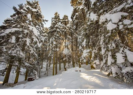 Abant / Bolu / Turkey, Winter Snow Landscape. Travel Concept Photo.