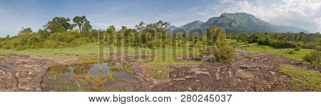 Panorama Of A Landscape In Mudumalai National Park, India