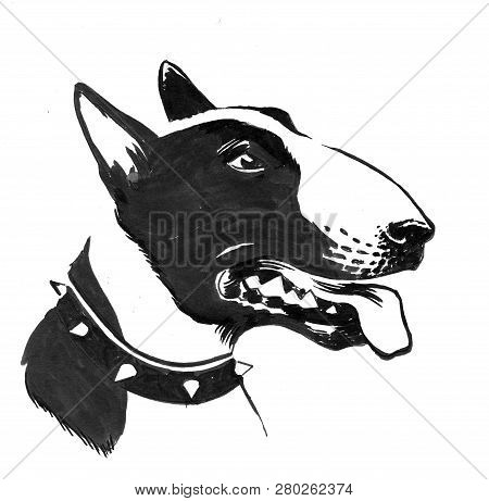 Pit Bull Terrier Head. Ink Black And White Drawing