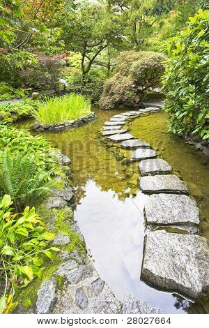  A path from the wet stones, laid through a pond in Japanese  garden