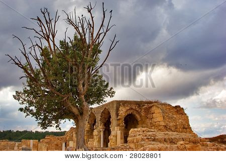  ดีคราบ basils โบราณใกล้เคียง Ashkelon ในอิสราเอล