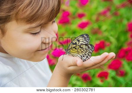 Child With A Butterfly. Idea Leuconoe. Selective Focus.